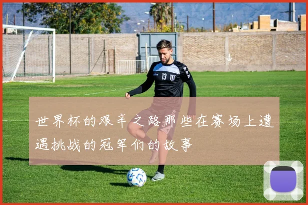 世界杯的艰辛之路那些在赛场上遭遇挑战的冠军们的故事